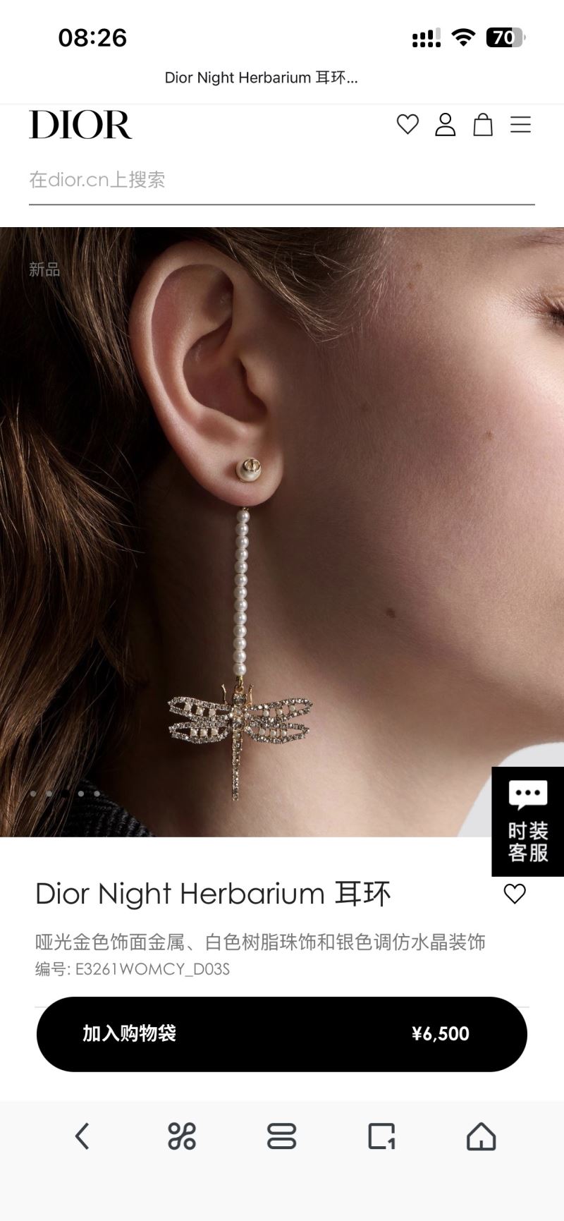 Christian Dior Earrings